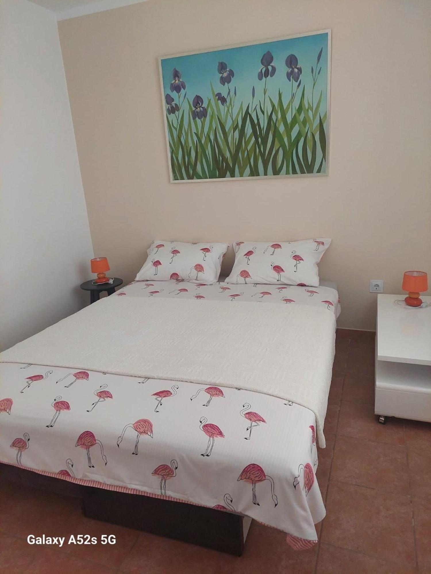 Apartments Pimpinella Premantura Ngoại thất bức ảnh